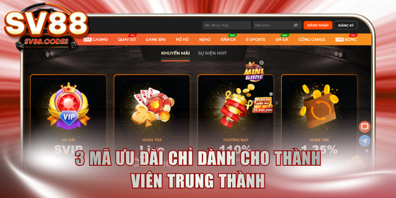 3 mã ưu đãi chỉ dành cho thành viên trung thành
