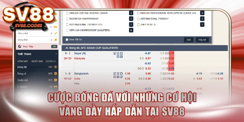 Cược bóng đá