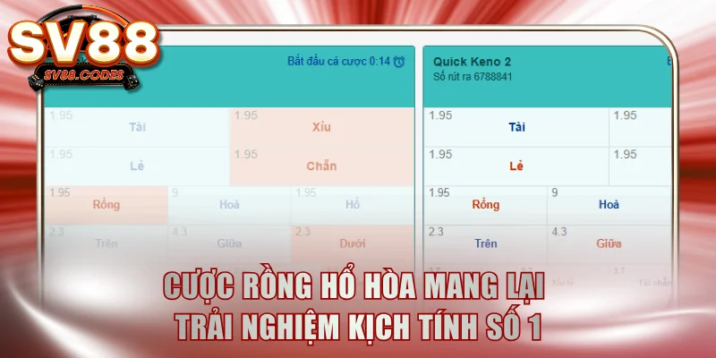 Cược Rồng Hổ Hòa mang lại trải nghiệm kịch tính số 1