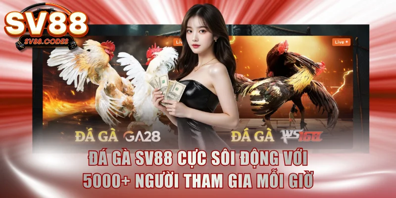 Đá Gà SV88 Cực Sôi Động Với 5000+ Người Tham Gia Mỗi Giờ