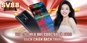 Đặt cược đá gà SV88