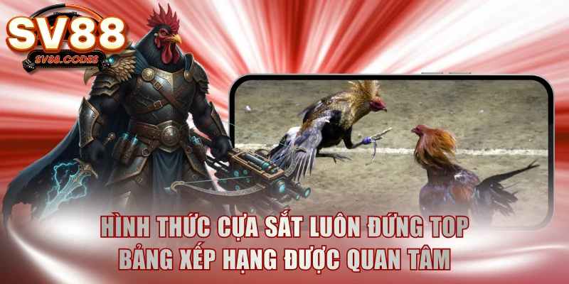Hình thức cựa sắt luôn đứng top bảng xếp hạng được quan tâm