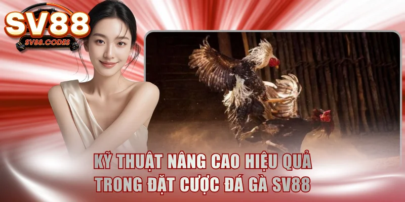 Kỹ thuật nâng cao hiệu quả trong đặt cược đá gà SV88