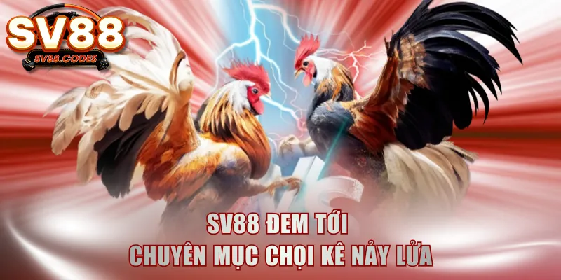 SV88 đem tới chuyên mục chọi kê nảy lửa