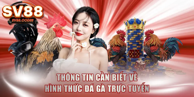 Thông tin cần biết về hình thức đá gà trực tuyến