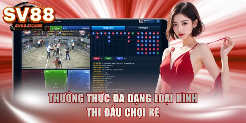 Thưởng thức đa dạng loại hình thi đấu chọi kê